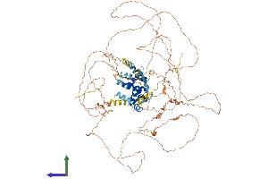 AlphaFold protein structure predicition of Human Recombinant E2F7 Protein, UniprotID Q96AV8
