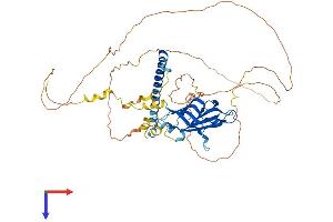 AlphaFold protein structure predicition of Human Recombinant RAB11FIP2 Protein, UniprotID Q7L804