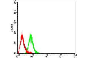 Flow cytometric analysis of Raji cells using CD3G mouse mAb (green) and negative control (red). (CD3G anticorps  (AA 23-116))