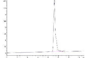 The purity of SARS-CoV-2 3CLpro (A191V) is greater than 95 % as determined by SEC-HPLC. (SARS-Coronavirus Nonstructural Protein 8 (SARS-CoV NSP8) (A191V) Protéine)