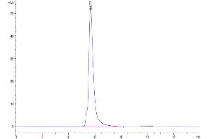The purity of Human LILRB4 is greater than 95 % as determined by SEC-HPLC.