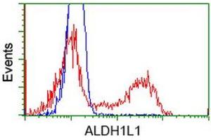 HEK293T cells transfected with either RC213720 overexpress plasmid (Red) or empty vector control plasmid (Blue) were immunostained by anti-ALDH1L1 antibody (ABIN2452749), and then analyzed by flow cytometry. (ALDH1L1 anticorps)