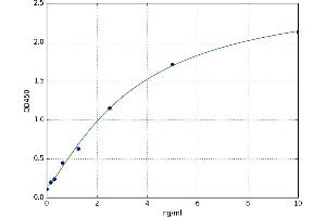 S100 Calcium Binding Protein A1 (S100A1) ELISA Kit
