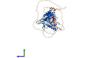 AlphaFold protein structure predicition of Human Recombinant TBC1D25 Protein, UniprotID Q3MII6