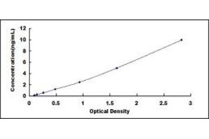 Typical standard curve (JTB Kit ELISA)