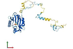 AlphaFold protein structure predicition of Human Recombinant CIAPIN1 Protein, UniprotID Q6FI81