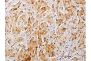Image no. 1 for anti-Family with Sequence Similarity 84, Member A (FAM84A) (AA 1-293) antibody (ABIN466272) (FAM84A anticorps  (AA 1-293))