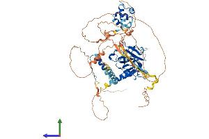 AlphaFold protein structure predicition of Mouse Recombinant Tp63 Protein, UniprotID O88898