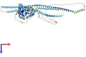 AlphaFold protein structure predicition of Human Recombinant EVI5L Protein, UniprotID Q96CN4