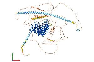 AlphaFold protein structure predicition of Human Recombinant HDAC5 Protein, UniprotID Q9UQL6
