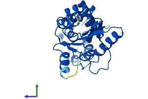 AlphaFold protein structure predicition of Human Recombinant PHOSPHO2 Protein, UniprotID Q8TCD6