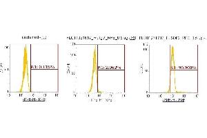 Flow Cytometry (FACS) image for anti-Stromal Cell Derived Factor 2 (SDF2) (AA 19-211) antibody (PE) (ABIN5566163)