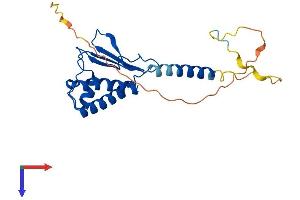 AlphaFold protein structure predicition of Human Recombinant BTG4 Protein, UniprotID Q9NY30