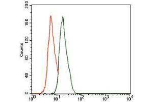 Flow cytometric analysis of HeLa cells using CBX8 mouse mAb (green) and negative control (red).