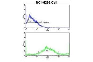 Flow Cytometric analysis of NCI-H292 cells using AP17730PU-N SAR1A Antibody (Center)(bottom histogram) compared to a negative control cell (top histogram).