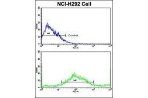 Flow Cytometric analysis of NCI-H292 cells using AP17730PU-N SAR1A Antibody (Center)(bottom histogram) compared to a negative control cell (top histogram). (SAR1A anticorps  (Middle Region))