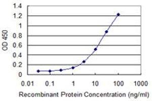anti-phospholipid Scramblase 3 (PLSCR3) (AA 74-165) antibody