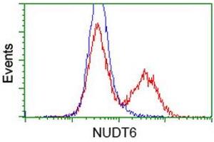 Flow Cytometry (FACS) image for anti-Nudix (Nucleoside Diphosphate Linked Moiety X)-Type Motif 6 (NUDT6) antibody (ABIN1499868) (NUDT6 anticorps)