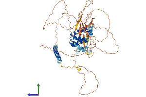 AlphaFold protein structure predicition of Mouse Recombinant Banp Protein, UniprotID Q8VBU8