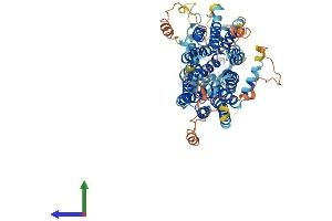 AlphaFold protein structure predicition of Human Recombinant SLCO3A1 Protein, UniprotID Q9UIG8