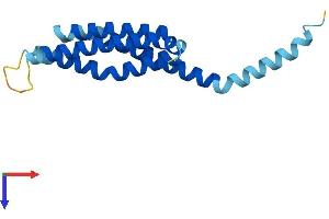 AlphaFold protein structure predicition of Mouse Recombinant Alox5ap Protein, UniprotID P30355