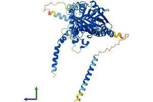 AlphaFold protein structure predicition of Human Recombinant CSGALNACT1 Protein, UniprotID Q8TDX6