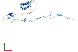 AlphaFold protein structure predicition of Mouse Recombinant Cuedc2 Protein, UniprotID Q9CXX9