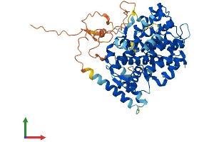 AlphaFold protein structure predicition of Mouse Recombinant Sesn3 Protein, UniprotID Q9CYP7