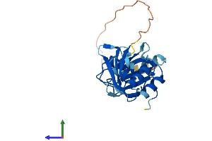AlphaFold protein structure predicition of Human Recombinant SNRPB2 Protein, UniprotID P08579