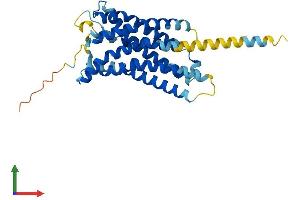 AlphaFold protein structure predicition of Mouse Recombinant P2ry10 Protein, UniprotID Q8BFU7