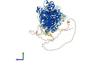 AlphaFold protein structure predicition of Mouse Recombinant Pld1 Protein, UniprotID Q9Z280
