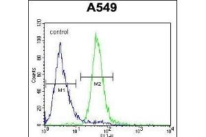 anti-Chromosome 15 Open Reading Frame 39 (C15ORF39) (AA 938-967), (C-Term) antibody