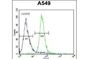 C Antibody (C-term) (ABIN653958 and ABIN2843915) flow cytometric analysis of A549 cells (right histogram) compared to a negative control cell (left histogram). (C15ORF39 anticorps  (C-Term))