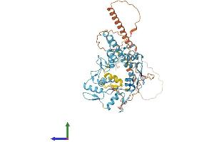 AlphaFold protein structure predicition of Human Recombinant ZNF765 Protein, UniprotID Q7L2R6
