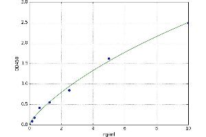 A typical standard curve