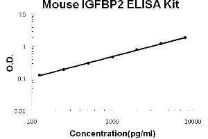 Mouse IGFBP2 PicoKine ELISA Kit standard curve (IGFBP2 Kit ELISA)