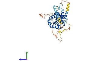 AlphaFold protein structure predicition of Human Recombinant CCNYL1 Protein, UniprotID Q8N7R7