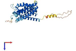 AlphaFold protein structure predicition of Mouse Recombinant Slc10a1 Protein, UniprotID O08705