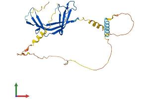 AlphaFold protein structure predicition of Human Recombinant EAF2 Protein, UniprotID Q96CJ1