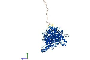 AlphaFold protein structure predicition of Mouse Recombinant Ctps1 Protein, UniprotID P70698