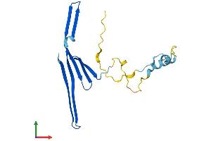 AlphaFold protein structure predicition of Mouse Recombinant Tcap Protein, UniprotID O70548