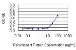 Detection limit for recombinant GST tagged BGN is 3 ng/ml as a capture antibody.