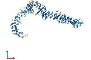 AlphaFold protein structure predicition of Mouse Recombinant Mroh2b Protein, UniprotID Q7M6Y6