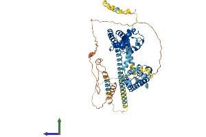 AlphaFold protein structure predicition of Mouse Recombinant Kcnd3 Protein, UniprotID Q9Z0V1