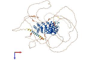 AlphaFold protein structure predicition of Mouse Recombinant Armcx2 Protein, UniprotID Q6A058