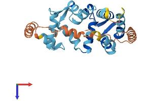 AlphaFold protein structure predicition of Mouse Recombinant Kcnip4 Protein, UniprotID Q6PHZ8