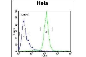 IC Antibody (Center) (ABIN653304 and ABIN2842804) flow cytometric analysis of Hela cells (right histogram) compared to a negative control cell (left histogram). (PPIC anticorps  (AA 61-89))
