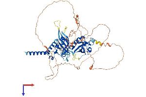 AlphaFold protein structure predicition of Human Recombinant SIM2 Protein, UniprotID Q14190