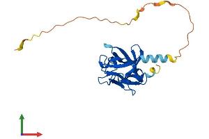 AlphaFold protein structure predicition of Mouse Recombinant Fgf20 Protein, UniprotID Q9ESL9