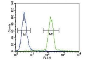Tyrosinase antibody flow cytometric analysis of A375 cells (green) compared to a negative control (left blue).